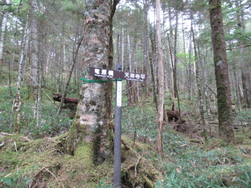 登山道